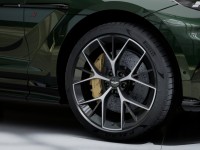 Фото 4 Aston Martin DBX S Ghillies Green_mini 