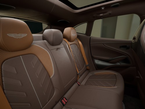 Фото 8 Aston Martin DBX S Magneto Bronze 